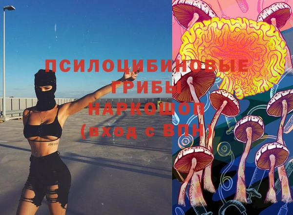 дмт Нязепетровск
