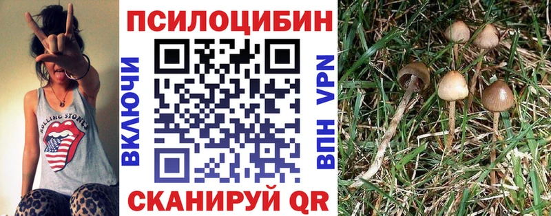 закладки  Дербент  Галлюциногенные грибы мухоморы 