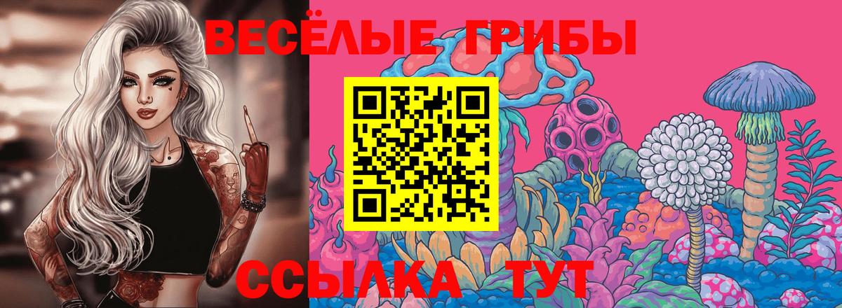 даркнет сайт  Галлюциногенные грибы GOLDEN TEACHER  Вход с VPN  Псилоцибиновые грибы Cubensis  Дербент 