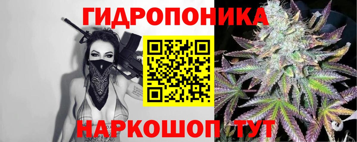 Шишки марихуана конопля  Каннабис THC 21%  Дербент  Вход с VPN  Бошки Шишки Bruce Banner 